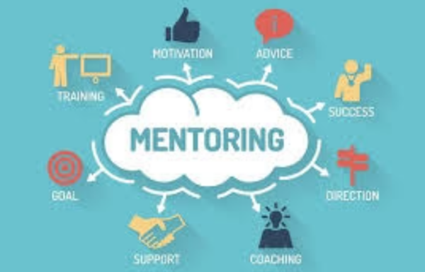 Mentoring Ecom+